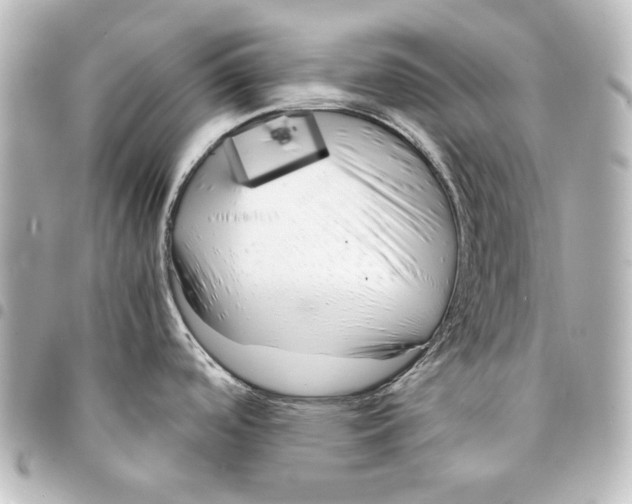 X0000094971488200712271731