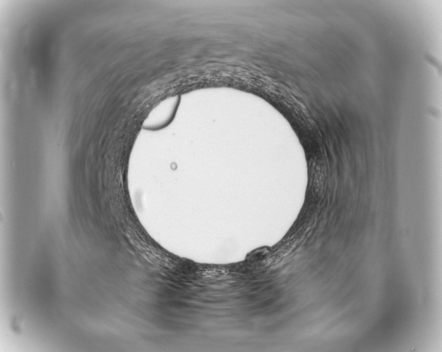 X0000094971489200712271730