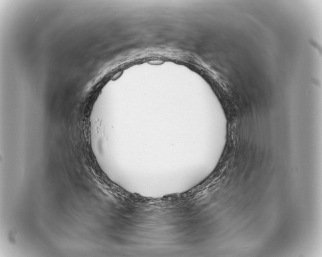 X0000094971496200712271730