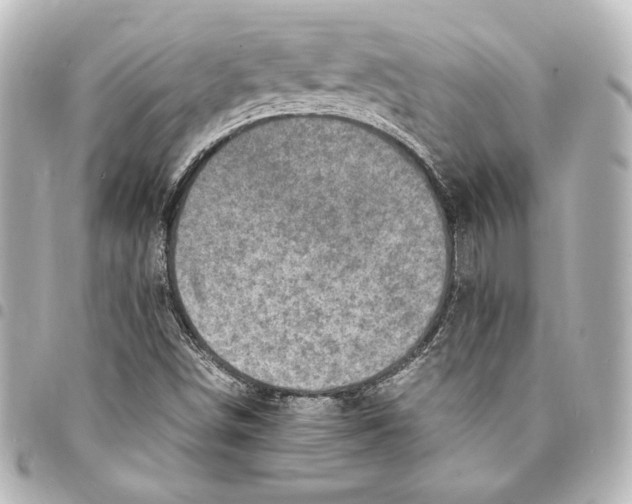 X0000094971498200712271730