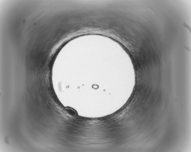 X0000094971502200712271730