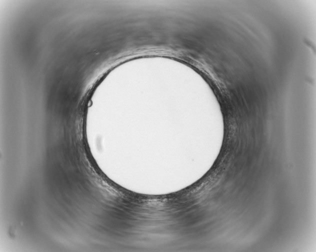 X0000094971504200712271730