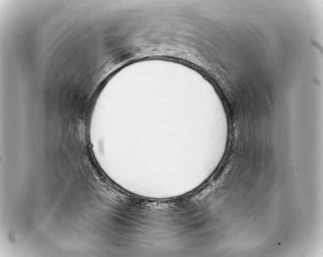 X0000094971505200712271730