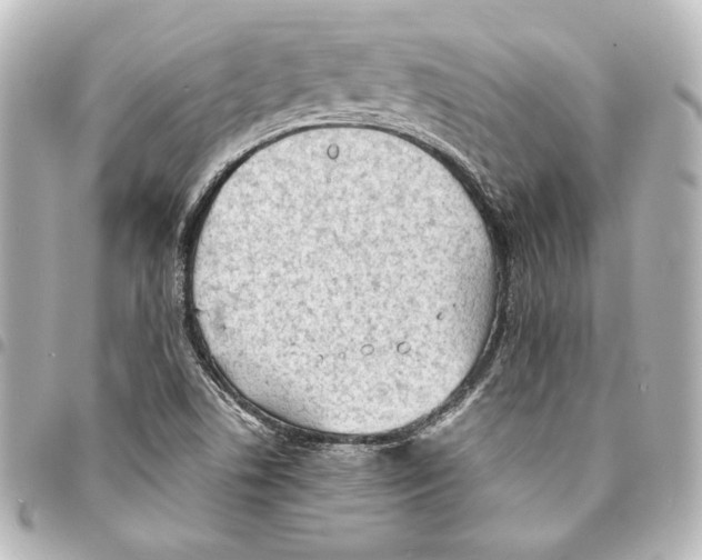 X0000094971506200712271730