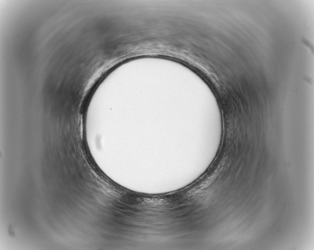 X0000094971509200712271730