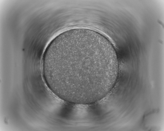 X0000094971514200712271730