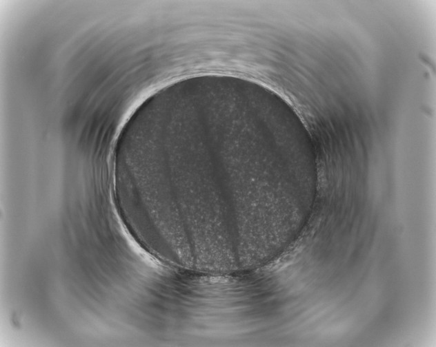 X0000094971515200712271730