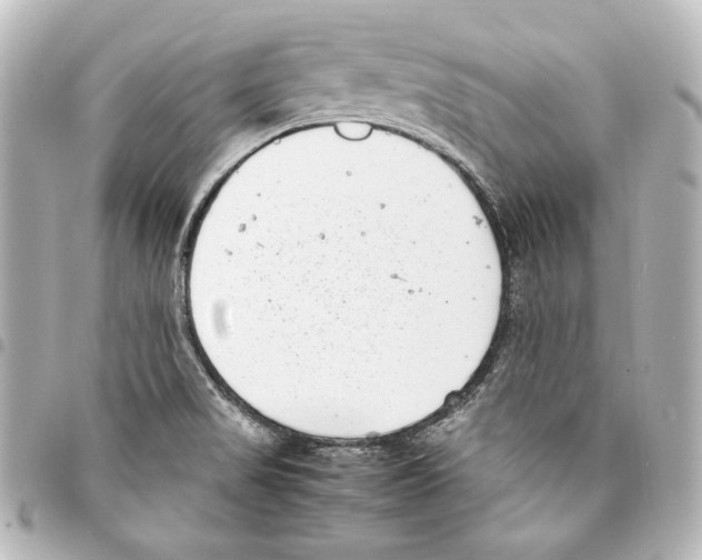 X0000094971517200712271730