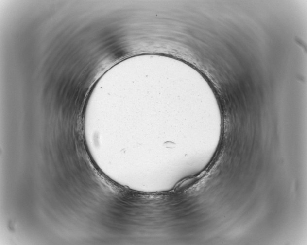 X0000094971521200712271730