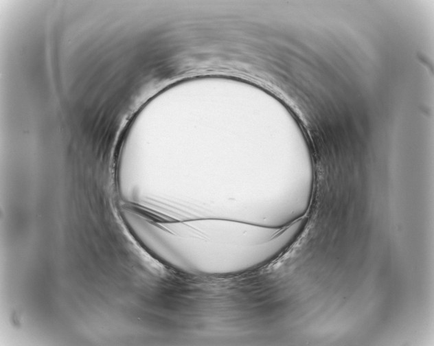 X0000094971525200712271730