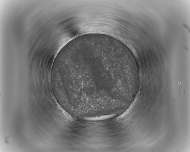 X0000094971529200712271730