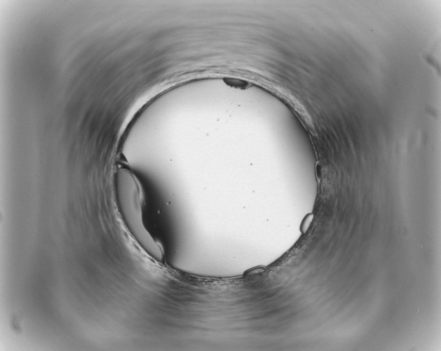 X0000094971530200712271731