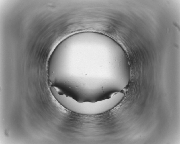 X0000094971532200712271731