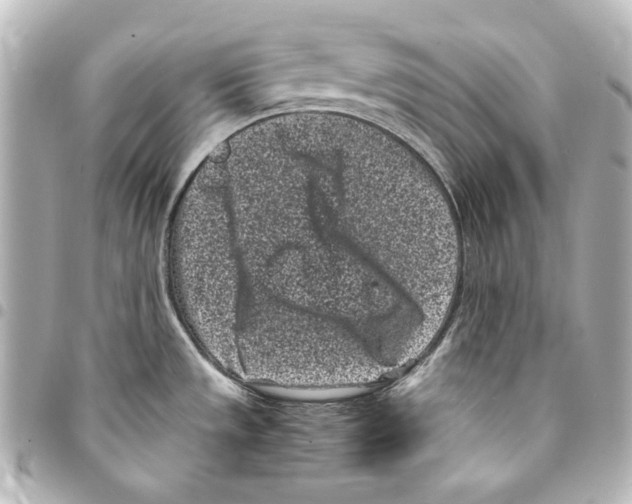 X0000094971533200712271731