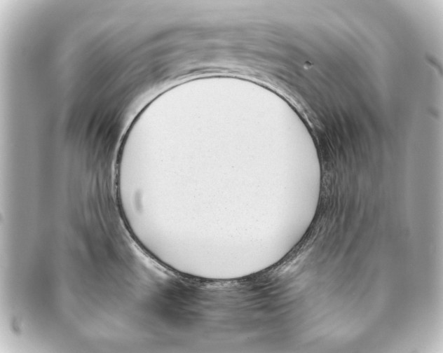 X0000094971535200712271731