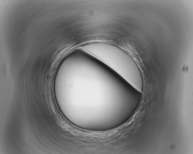 X0000095110001200712070930