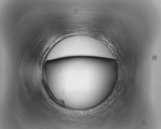 X0000095110002200712070930