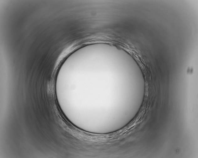 X0000095110004200712070930