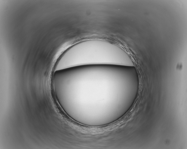 X0000095110006200712070930