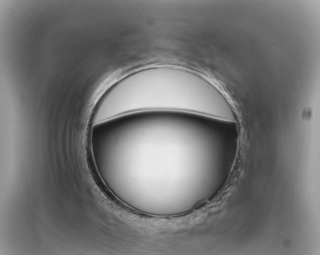 X0000095110007200712070930
