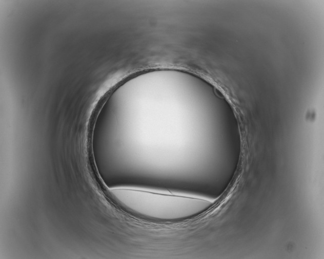 X0000095110008200712070930