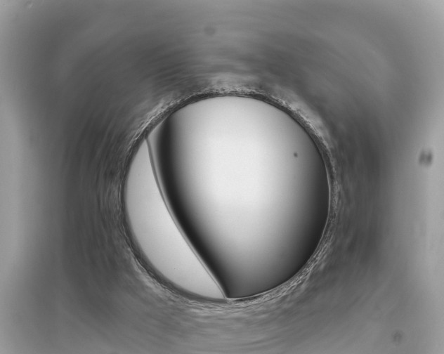 X0000095110009200712070930