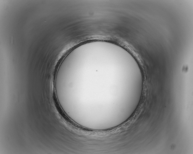 X0000095110011200712070930
