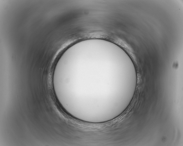 X0000095110012200712070930
