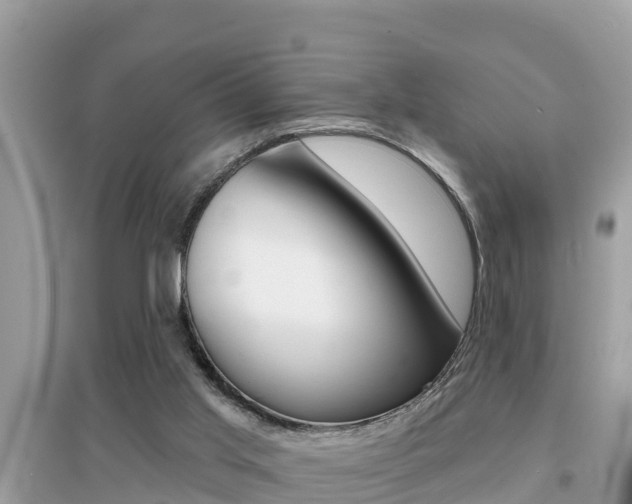 X0000095110013200712070930