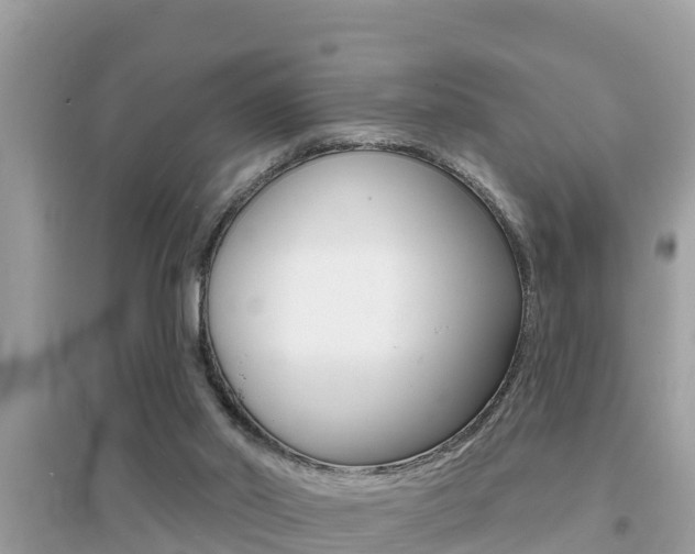 X0000095110014200712070930