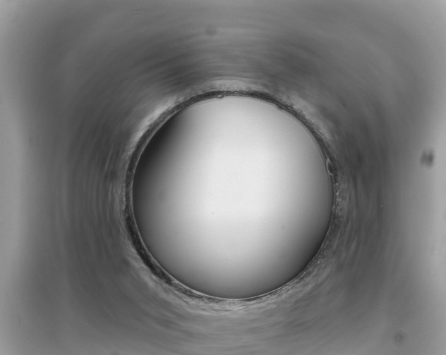 X0000095110015200712070930