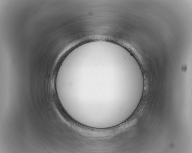 X0000095110016200712070930