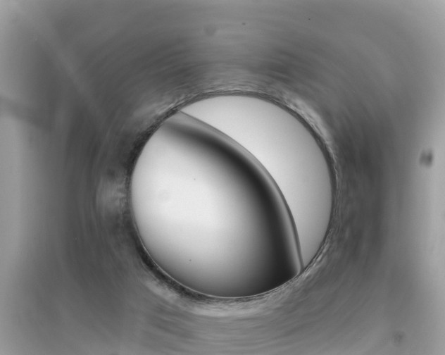 X0000095110017200712070930