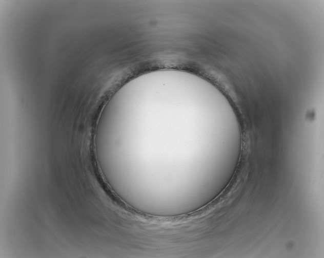 X0000095110018200712070930