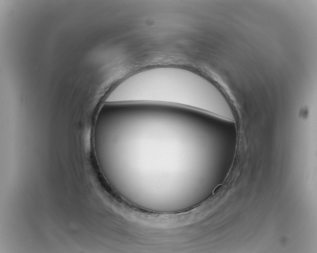 X0000095110019200712070930