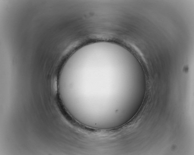 X0000095110020200712070930
