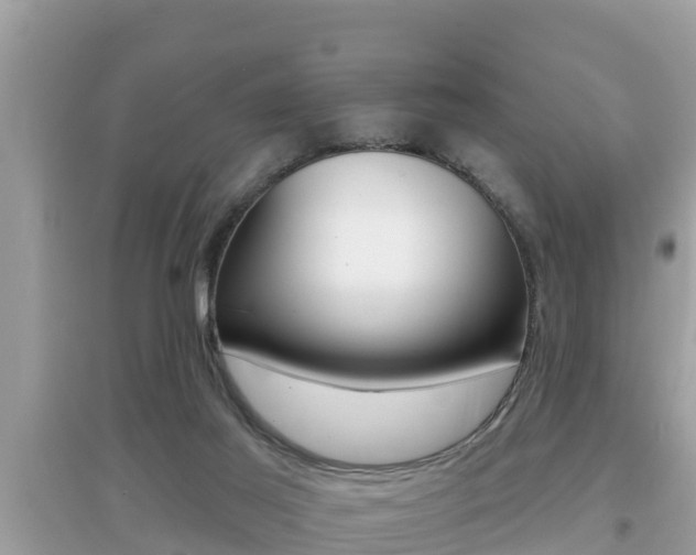 X0000095110021200712070930
