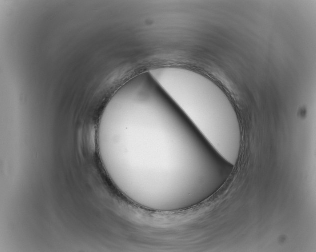 X0000095110022200712070930