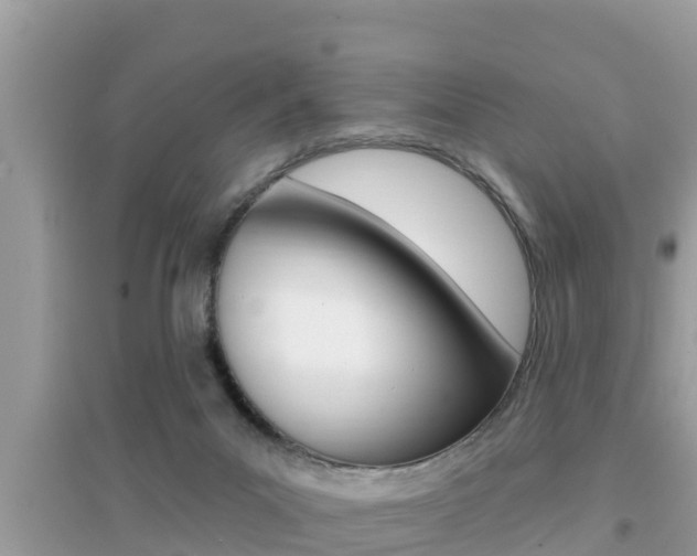 X0000095110023200712070930