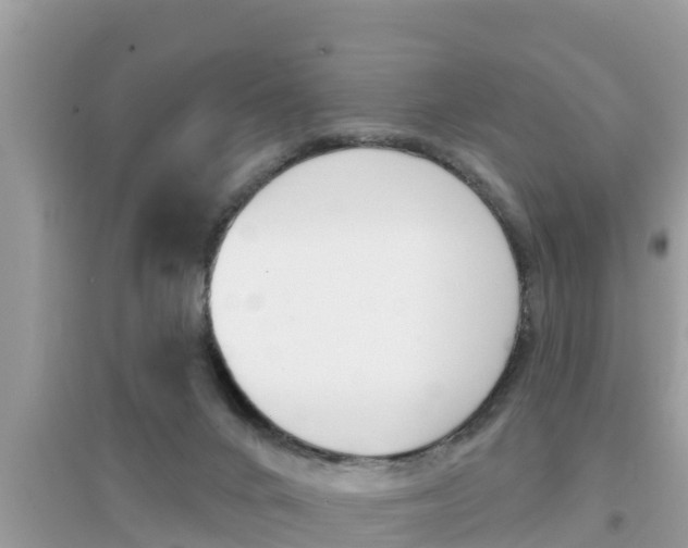 X0000095110024200712070930