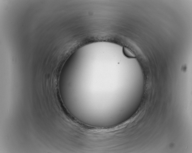 X0000095110025200712070930