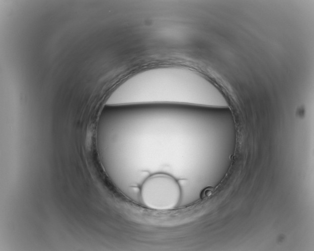 X0000095110026200712070930