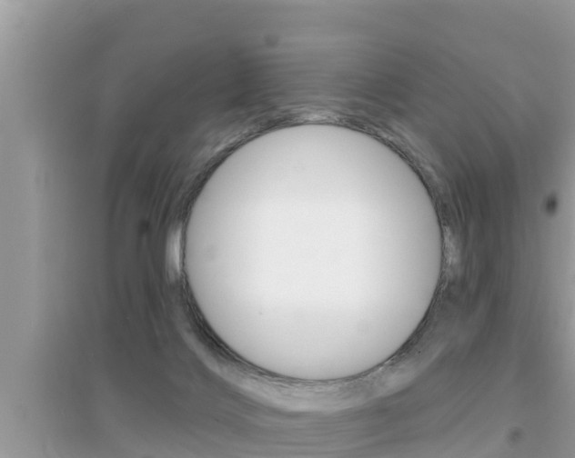 X0000095110028200712070930