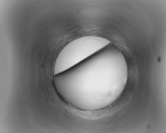 X0000095110030200712070930