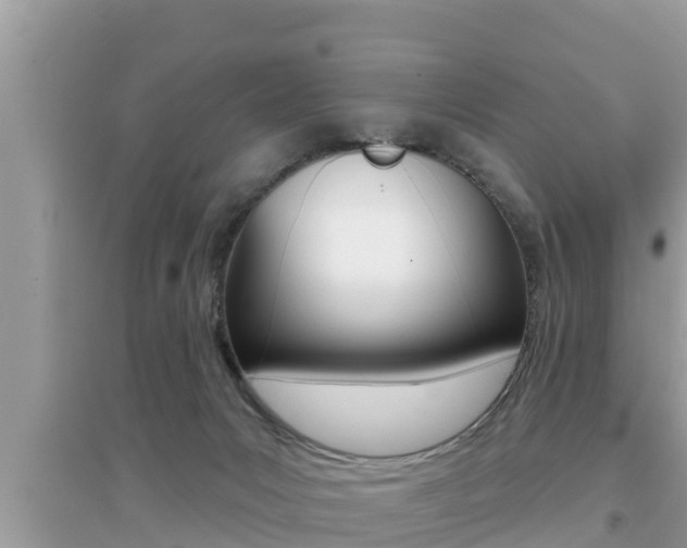 X0000095110031200712070929