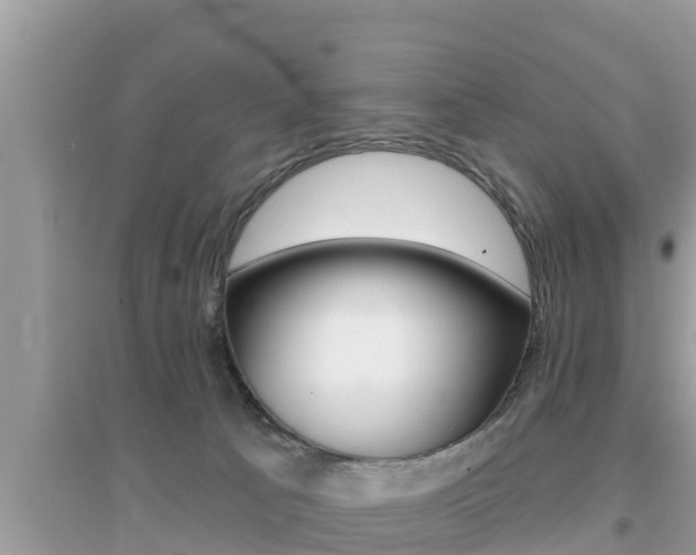 X0000095110033200712070929