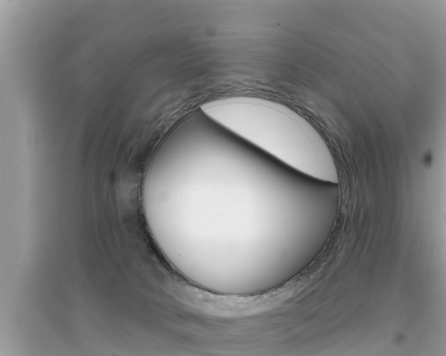 X0000095110034200712070929