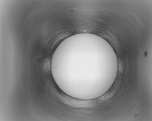 X0000095110036200712070929