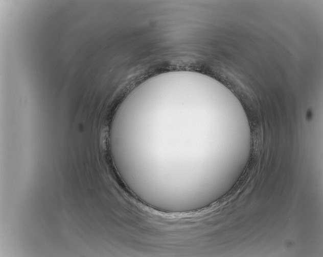 X0000095110038200712070929