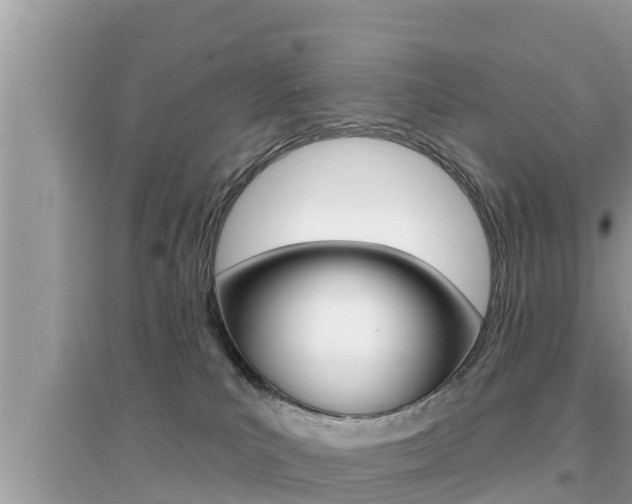X0000095110039200712070929
